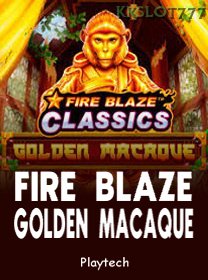 Fire Blaze Golden Macaque